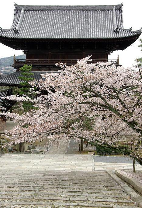 교토 Nanako House 빌라 외부 사진